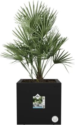 Elho Vivo Next Vierkant 40 - Plantenbak Voor Binnen & Buiten - Ø 39.0 X H 37.9 Cm - Zwart/Living Black 33 Elho Vivo Next Vierkant 40 - Plantenbak Voor Binnen & Buiten - Ø 39.0 X H 37.9 Cm - Zwart/Living Black -Woonwinkel 720x1200 1