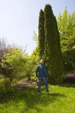 GARDENA TeleCut Heggenschaar - Telescopische Handgrepen Van 70-90 Cm -Woonwinkel 799x1200 22