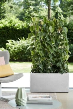 Elho Vivo Structure Finish Lang 90 - Plantenbak Voor Binnen & Buiten - Ø 88 X H 41 - Wit -Woonwinkel 800x1200 14