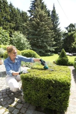 Bosch ISIO Gen III Accu Buxusschaar + Grasschaar -Woonwinkel 800x1200 15