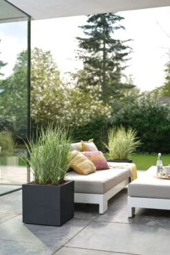 Elho Vivo Next Vierkant 40 - Plantenbak Voor Binnen & Buiten - Ø 39.0 X H 37.9 Cm - Zwart/Living Black 28 Elho Vivo Next Vierkant 40 - Plantenbak Voor Binnen & Buiten - Ø 39.0 X H 37.9 Cm - Zwart/Living Black -Woonwinkel 800x1200 21