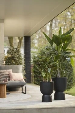 Elho Pure Coupe 41 - Bloempot Voor Binnen & Buiten - Ø 41.3 X H 57.9 Cm - Zwart/Zwart 19 Elho Pure Coupe 41 - Bloempot Voor Binnen & Buiten - Ø 41.3 X H 57.9 Cm - Zwart/Zwart -Woonwinkel 800x1200 33