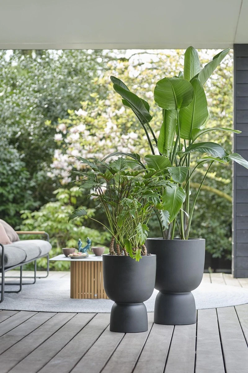 Elho Pure Coupe 41 - Bloempot Voor Binnen & Buiten - Ø 41.3 X H 57.9 Cm - Zwart/Zwart 15 Elho Pure Coupe 41 - Bloempot Voor Binnen & Buiten - Ø 41.3 X H 57.9 Cm - Zwart/Zwart - Afbeelding 13