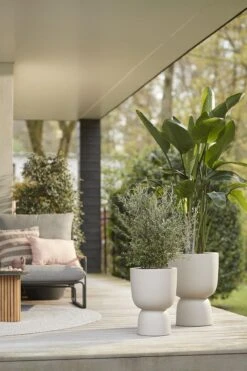 Elho Pure Coupe 35 - Bloempot Voor Binnen & Buiten - Ø 34.9 X H 49.0 Cm - Beige/Balanced Beige 24 Elho Pure Coupe 35 - Bloempot Voor Binnen & Buiten - Ø 34.9 X H 49.0 Cm - Beige/Balanced Beige -Woonwinkel 800x1200 48