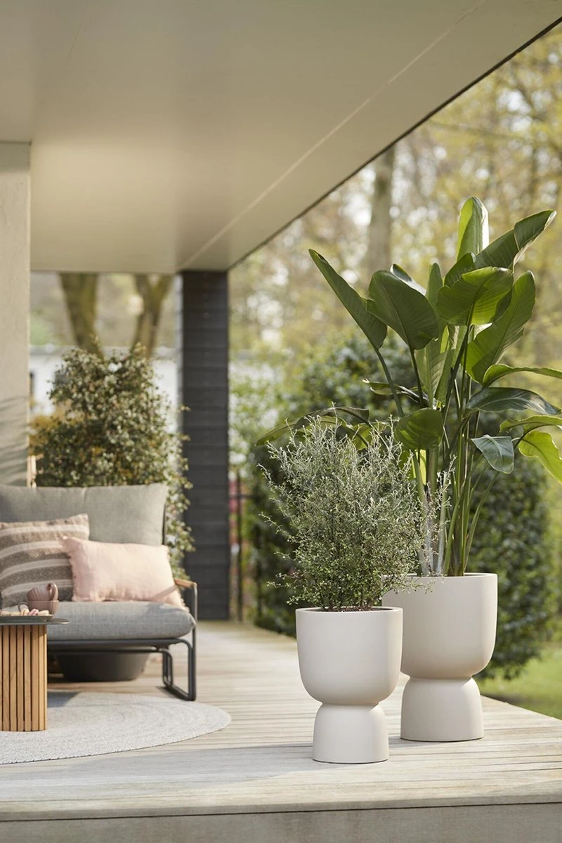 Elho Pure Coupe 35 - Bloempot Voor Binnen & Buiten - Ø 34.9 X H 49.0 Cm - Beige/Balanced Beige 5 Elho Pure Coupe 35 - Bloempot Voor Binnen & Buiten - Ø 34.9 X H 49.0 Cm - Beige/Balanced Beige - Afbeelding 3