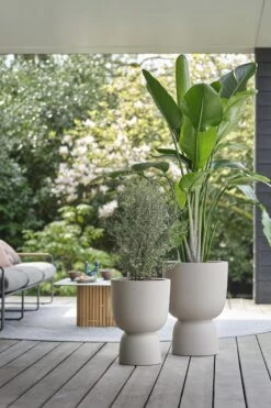 Elho Pure Coupe 35 - Bloempot Voor Binnen & Buiten - Ø 34.9 X H 49.0 Cm - Beige/Balanced Beige 25 Elho Pure Coupe 35 - Bloempot Voor Binnen & Buiten - Ø 34.9 X H 49.0 Cm - Beige/Balanced Beige -Woonwinkel 800x1200 49