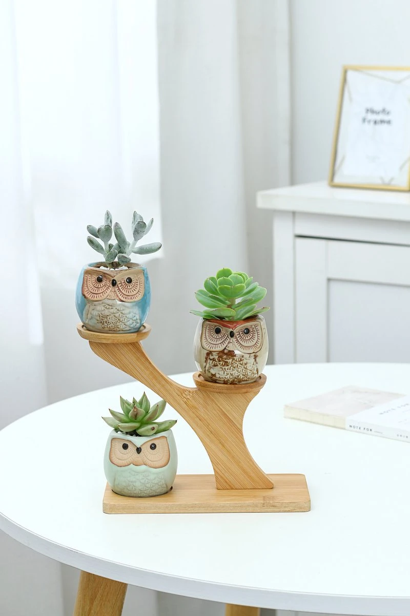 Luxe Bamboe Houten Boom Met 3 Keramiek Uil Bloempotten/Plantenpotten Op Standaard/Voet Voor Binnen En Buiten - Modern Design Bloempot/Plantenpot Op Poten/Pootjes-Plantenbak Mini Cactus Nep Plant Pot Houder - Kleine Bloembakken Plantenrek/Plantenkurk 8 Luxe Bamboe Houten Boom Met 3 Keramiek Uil Bloempotten/Plantenpotten Op Standaard/Voet Voor Binnen En Buiten - Modern Design Bloempot/Plantenpot Op Poten/Pootjes-Plantenbak Mini Cactus Nep Plant Pot Houder - Kleine Bloembakken Plantenrek/Plantenkurk - Afbeelding 6