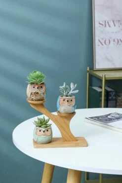 Luxe Bamboe Houten Boom Met 3 Keramiek Uil Bloempotten/Plantenpotten Op Standaard/Voet Voor Binnen En Buiten - Modern Design Bloempot/Plantenpot Op Poten/Pootjes-Plantenbak Mini Cactus Nep Plant Pot Houder - Kleine Bloembakken Plantenrek/Plantenkurk 18 Luxe Bamboe Houten Boom Met 3 Keramiek Uil Bloempotten/Plantenpotten Op Standaard/Voet Voor Binnen En Buiten - Modern Design Bloempot/Plantenpot Op Poten/Pootjes-Plantenbak Mini Cactus Nep Plant Pot Houder - Kleine Bloembakken Plantenrek/Plantenkurk -Woonwinkel 800x1200 52