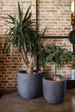 Capi Europe - Bloempot Bol Rib NL - 43x41 - Antraciet - Voor Binnen En Buiten - KOFZ933 19 Capi Europe - Bloempot Bol Rib NL - 43x41 - Antraciet - Voor Binnen En Buiten - KOFZ933 -Woonwinkel 800x1200 58