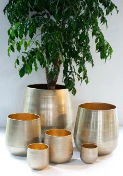 Merkloos Karakter Pot Alu Neo Gold ø40x40cm 8 Merkloos Karakter Pot Alu Neo Gold ø40x40cm -Woonwinkel 844x1200