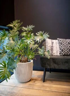 Capi Europe - Vaas Elegant Laag Groove NL - 46x58 - Goud - Voor Binnen En Buiten - KGVGB783 -Woonwinkel 883x1200 2