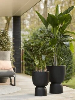 Elho Pure Coupe 41 - Bloempot Voor Binnen & Buiten - Ø 41.3 X H 57.9 Cm - Zwart/Zwart 26 Elho Pure Coupe 41 - Bloempot Voor Binnen & Buiten - Ø 41.3 X H 57.9 Cm - Zwart/Zwart -Woonwinkel 900x1200 11