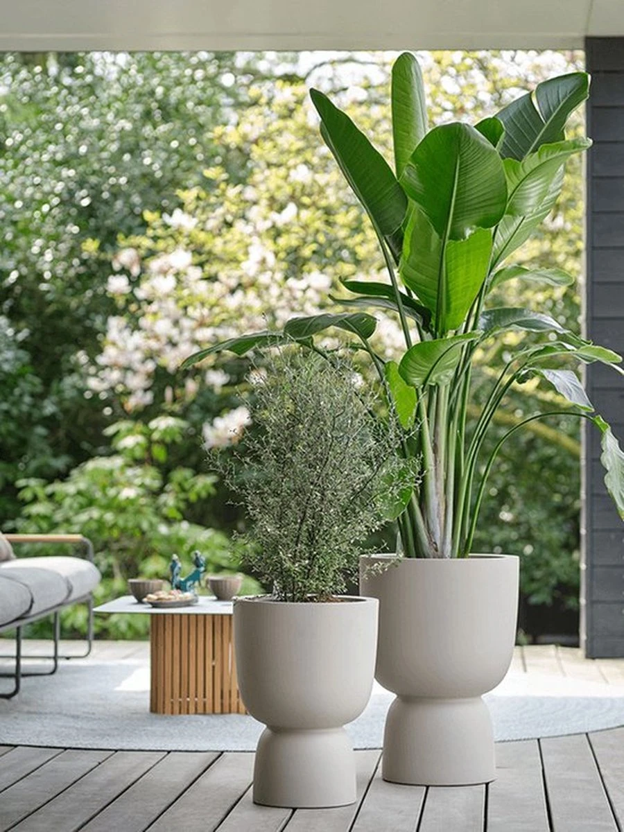 Elho Pure Coupe 35 - Bloempot Voor Binnen & Buiten - Ø 34.9 X H 49.0 Cm - Beige/Balanced Beige 12 Elho Pure Coupe 35 - Bloempot Voor Binnen & Buiten - Ø 34.9 X H 49.0 Cm - Beige/Balanced Beige - Afbeelding 10