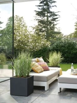 Elho Vivo Next Vierkant 40 - Plantenbak Voor Binnen & Buiten - Ø 39.0 X H 37.9 Cm - Zwart/Living Black 29 Elho Vivo Next Vierkant 40 - Plantenbak Voor Binnen & Buiten - Ø 39.0 X H 37.9 Cm - Zwart/Living Black -Woonwinkel 900x1200 7