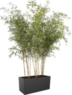 Elho Vivo Matt Finish Lang Wielen 90 - Grote Staande Plantenbak Voor Binnen & Buiten - Gemaakt Van Gereycled Plastic - L 39 X W 88 X H 41 Cm - Zwart -Woonwinkel 911x1200