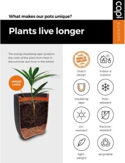 Capi Europe - Bloempot Bol Smooth NL - 35x34 - Zwart - Voor Binnen En Buiten - KBL932 -Woonwinkel 917x1200