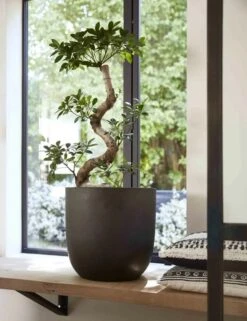 Capi Europe - Bloempot Bol Smooth NL - 35x34 - Zwart - Voor Binnen En Buiten - KBL932 -Woonwinkel 923x1200